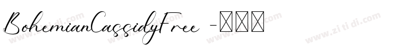 BohemianCassidyFree 字体转换